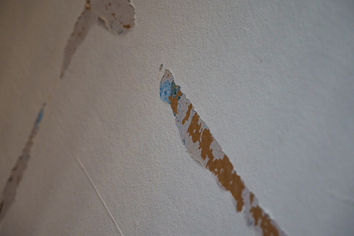 Basement Water Removal service in Miramar, FL